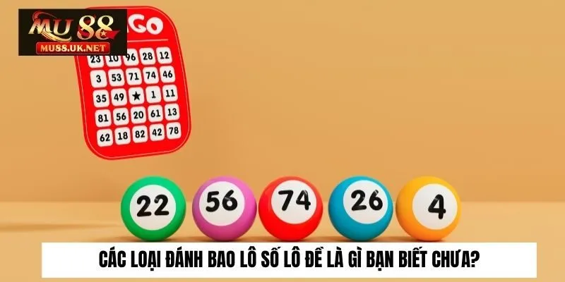 Các loại đánh bao lô số lô đề là gì bạn biết chưa?