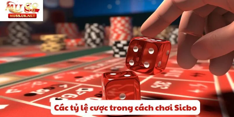 Các tỷ lệ cược trong cách chơi Sicbo
