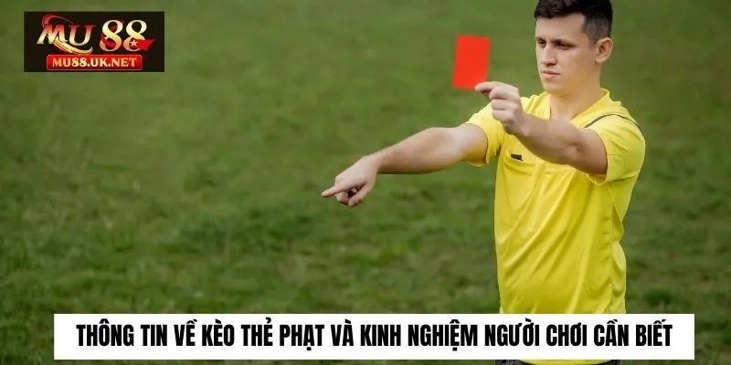 Thông Tin Về Kèo Thẻ Phạt Và Kinh Nghiệm Người Chơi Cần Biết 5 Thông Tin Về Kèo Thẻ Phạt Và Kinh Nghiệm Người Chơi Cần Biết