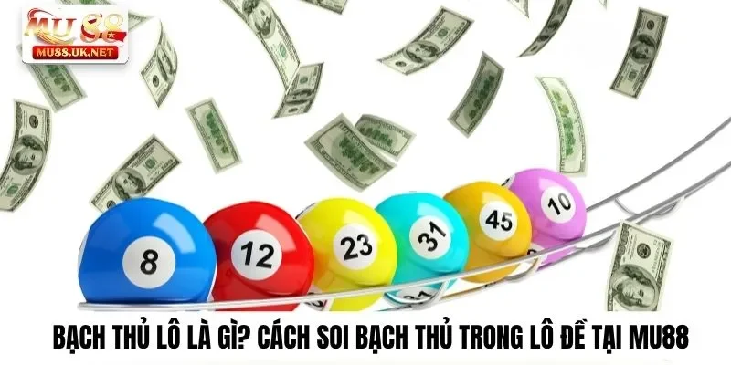 Cùng Mu88 tìm hiểu bạch thủ lô là gì