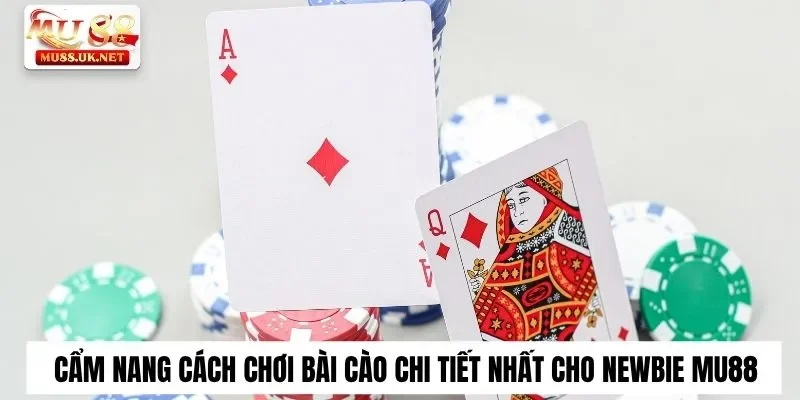 Cùng Mu88 tìm hiểu cách chơi bài cào