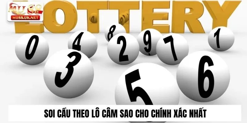 Khái Niệm Đầu Lô Câm Tại Mu88 Chuẩn Ăn Tiền Cực Khủng 2 Soi cầu theo lô câm sao cho chính xác nhất
