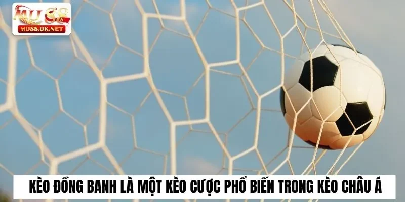 Kèo Châu Á Là Gì? Bật Mí Chi Tiết Cho Thành Viên Mu88 2 Kèo đồng banh là một kèo cược phổ biến trong kèo châu Á